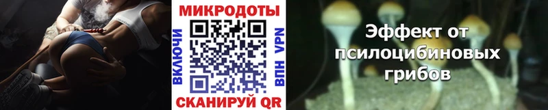 Купить закладки Бугуруслан Псилоцибиновые грибы ЛСД