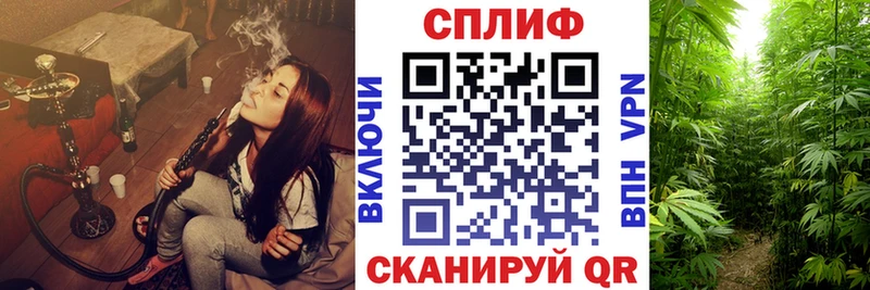 МАРИХУАНА White Widow  Купить закладки  Бугуруслан 